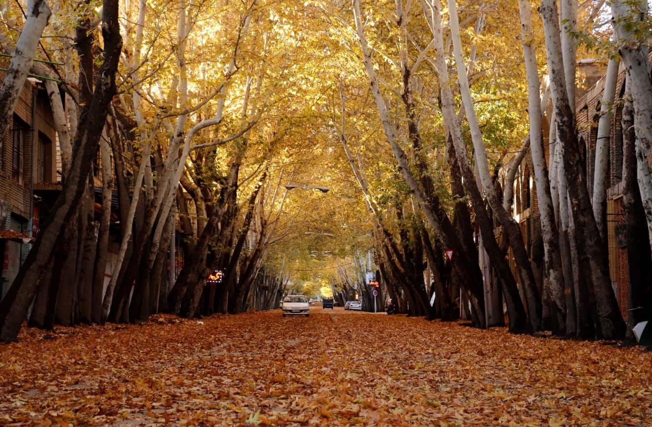 بهترین مقصدهای ایران برای سفر پاییزی بهترین مقصدهای ایران برای سفر پاییزی